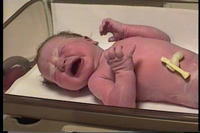 Our brand new little Alice